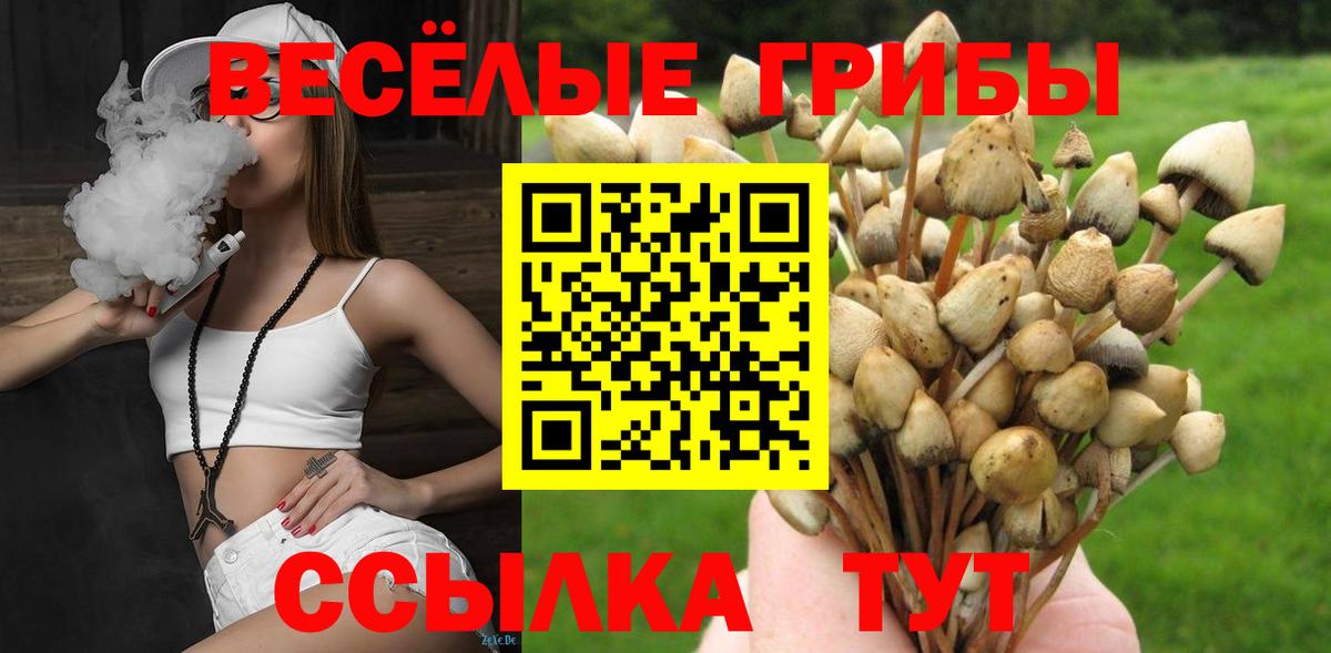 Псилоцибиновые грибы Psilocybe  Псилоцибиновые грибы ЛСД  Вход с VPN  Нижнекамск 